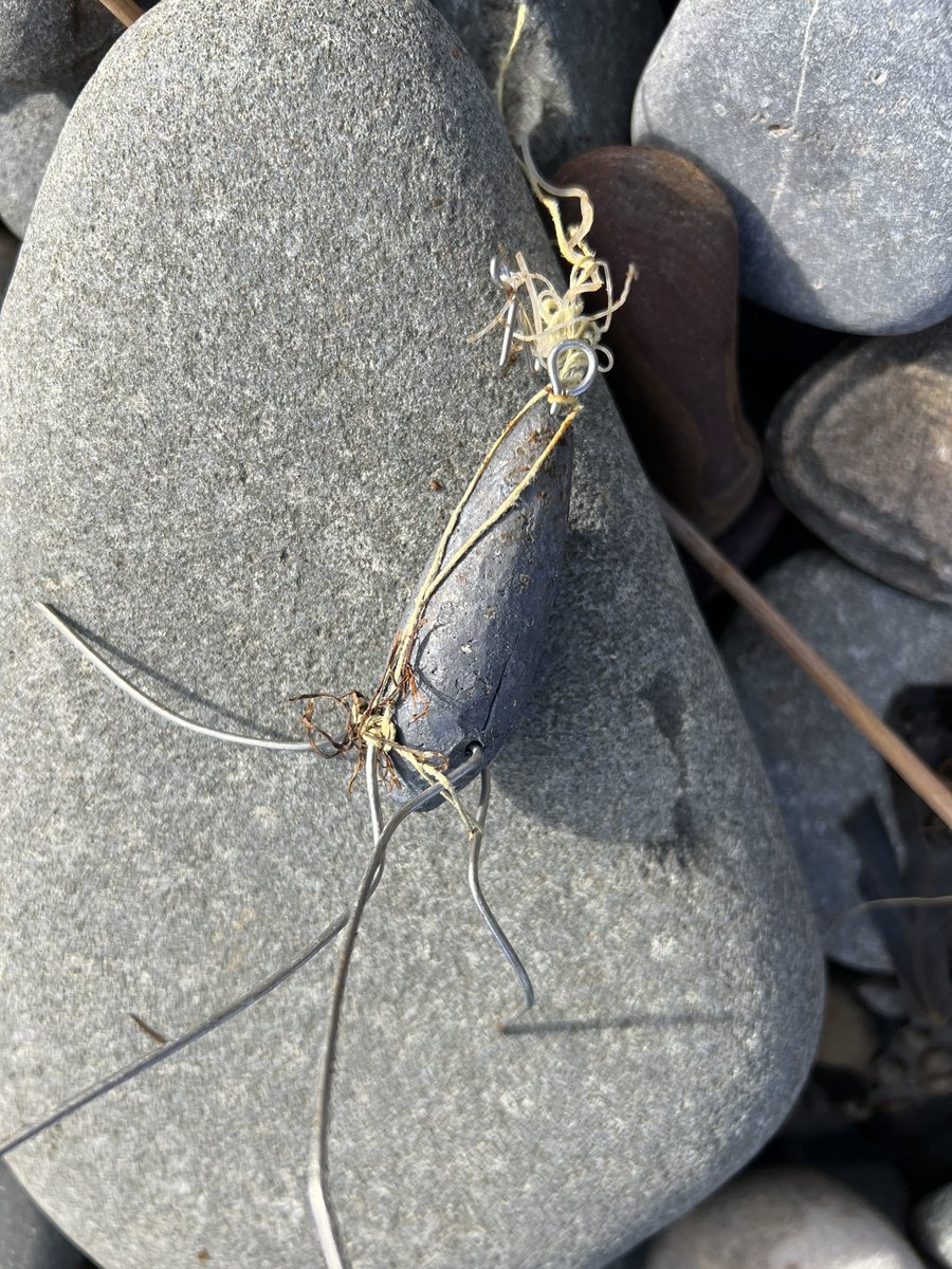 JaneHardlyever's tweet photo. Possibly one of the heaviest things I’ve carried off a beach clean
#MansfieldBrewery #IsThisYours? @2minuteHQ @KeepBritainTidy @BeerShackMans @mcsuk @sascampaigns
Plus the usual sack of #plastic #monofilament #rope & lost fishing gear
Dead shag/cormorant? @NEBBS11 @DanT_Coast https://t.co/urNxaHKMTc