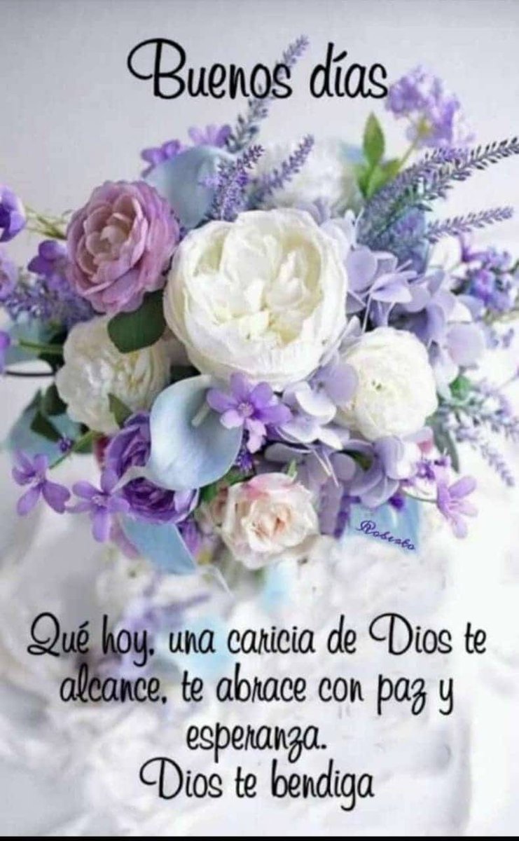 Feliz Inicio de semana 🙌 😊