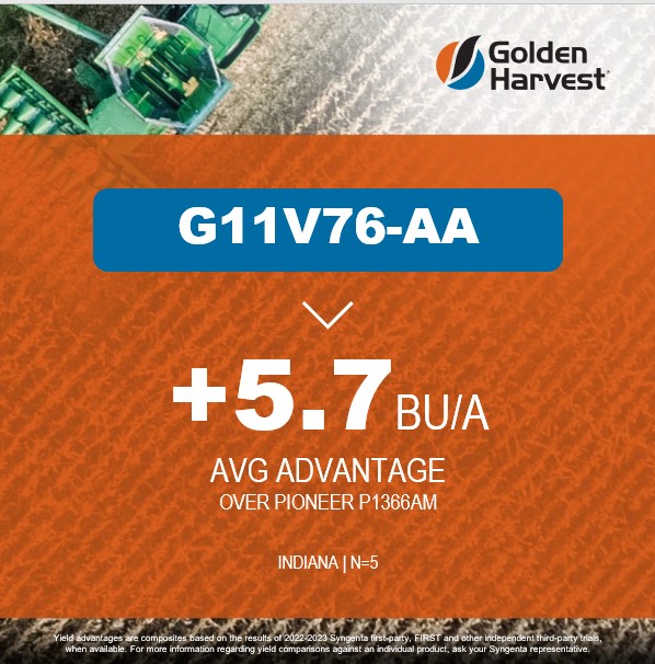 Golden Harvest Seeds tweet media