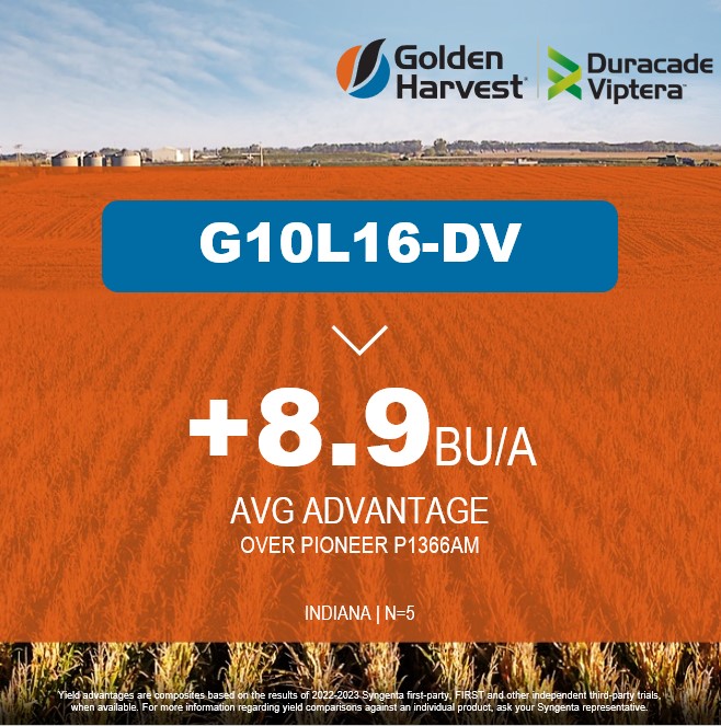 Golden Harvest Seeds tweet media