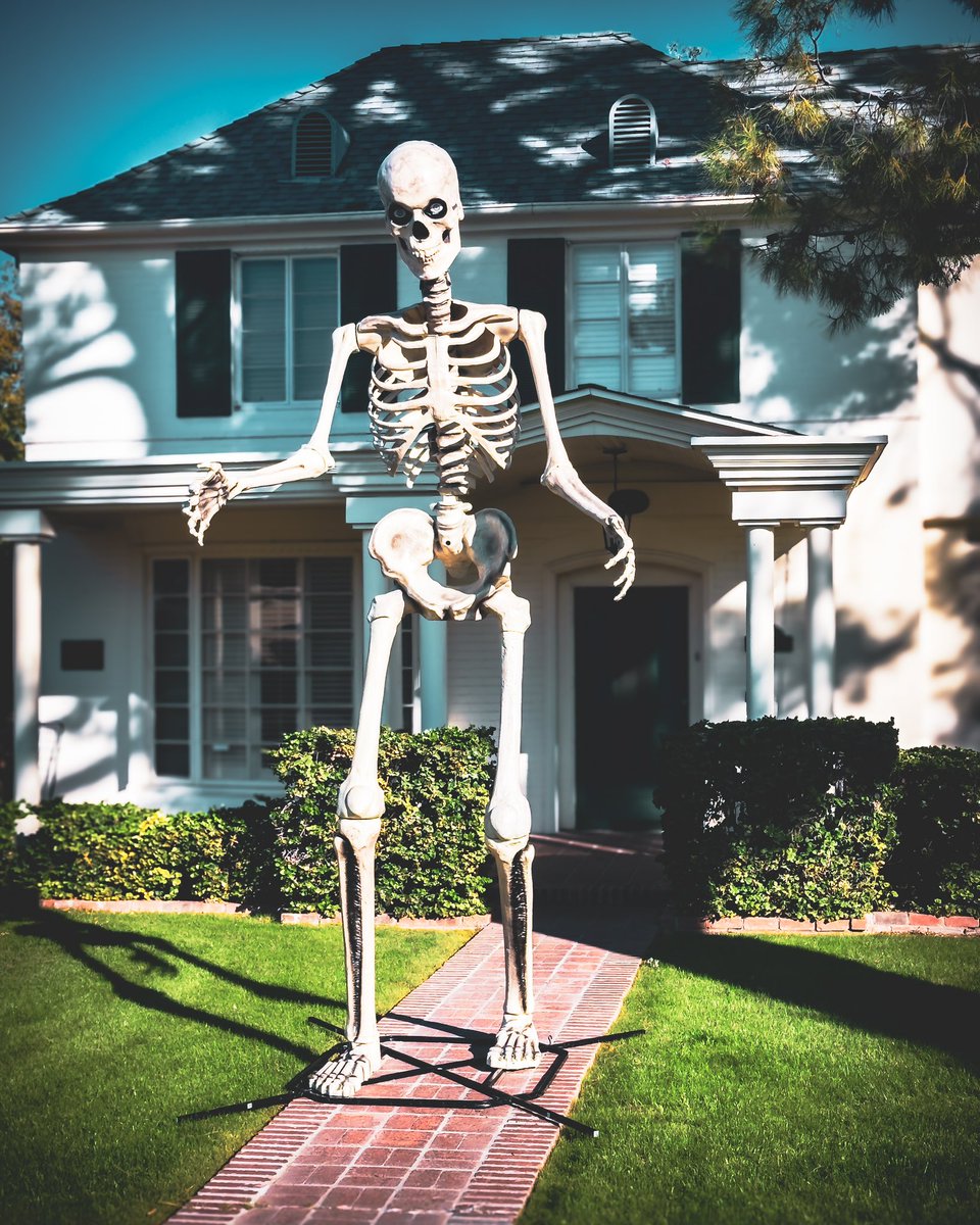 A week after #Halloween…. Despite what my kids claim, I did NOT move nor did NOT place a giant scary skeleton on my walkway, as a warning to everyone to stay away. This is my neighbor’s home and I’m soooooooo jealous I didn’t think of this first!