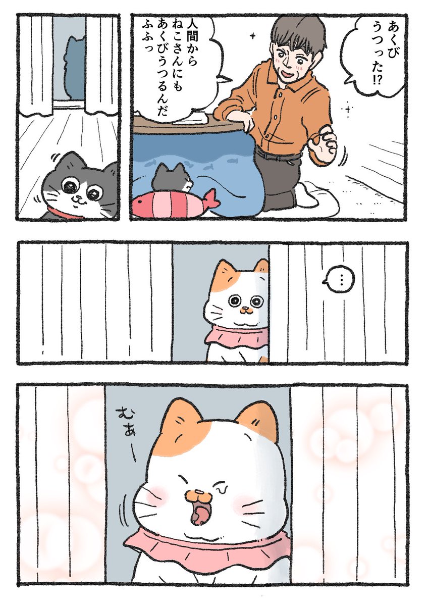 ねこに転生したおじさん。275