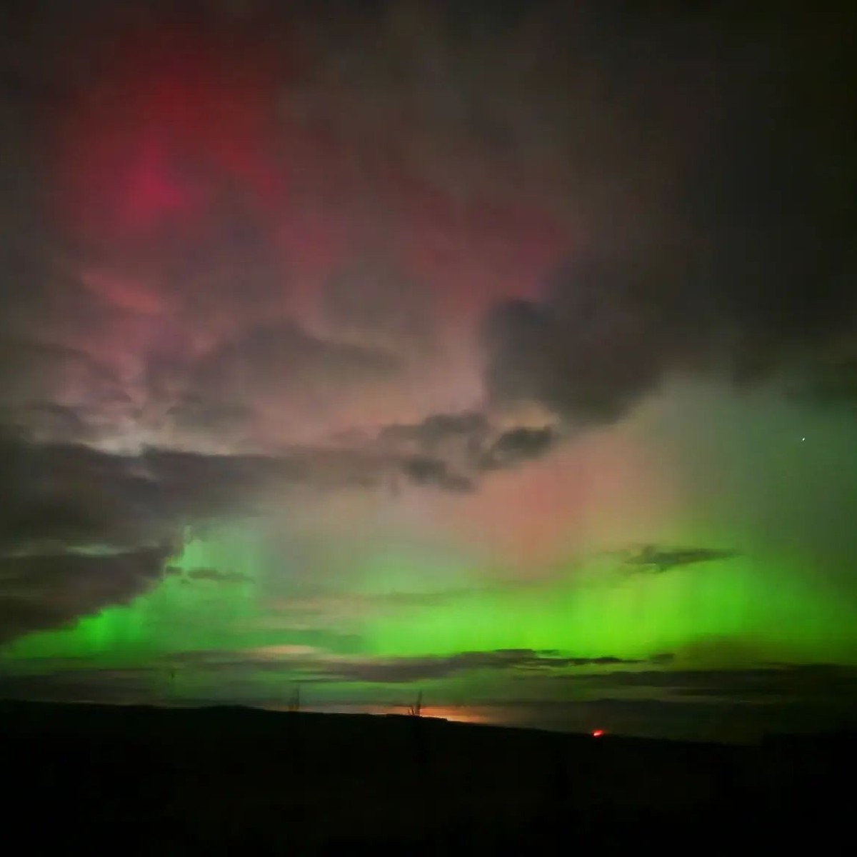 VisitScotland's tweet photo. WOW! 🙌 The sky over #Scotland put on another magical show last night- having some of the largest expanses of #DarkSky in Europe really has it's perks! ✨🤩 #AuroraBorealis 

📍 Arbroath Cliffs, @visit_angus 📷 IG/shotzby.ss https://t.co/mYkc1qOpl2