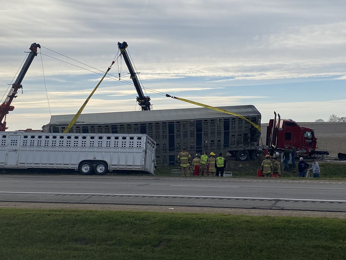 LoganKGAN's tweet photo. The livestock trailer has been lifted but is still being supported by the tow straps as it looks like crews are setting up corrals to guide the hogs onto a new trailer https://t.co/pyGIzLskO0