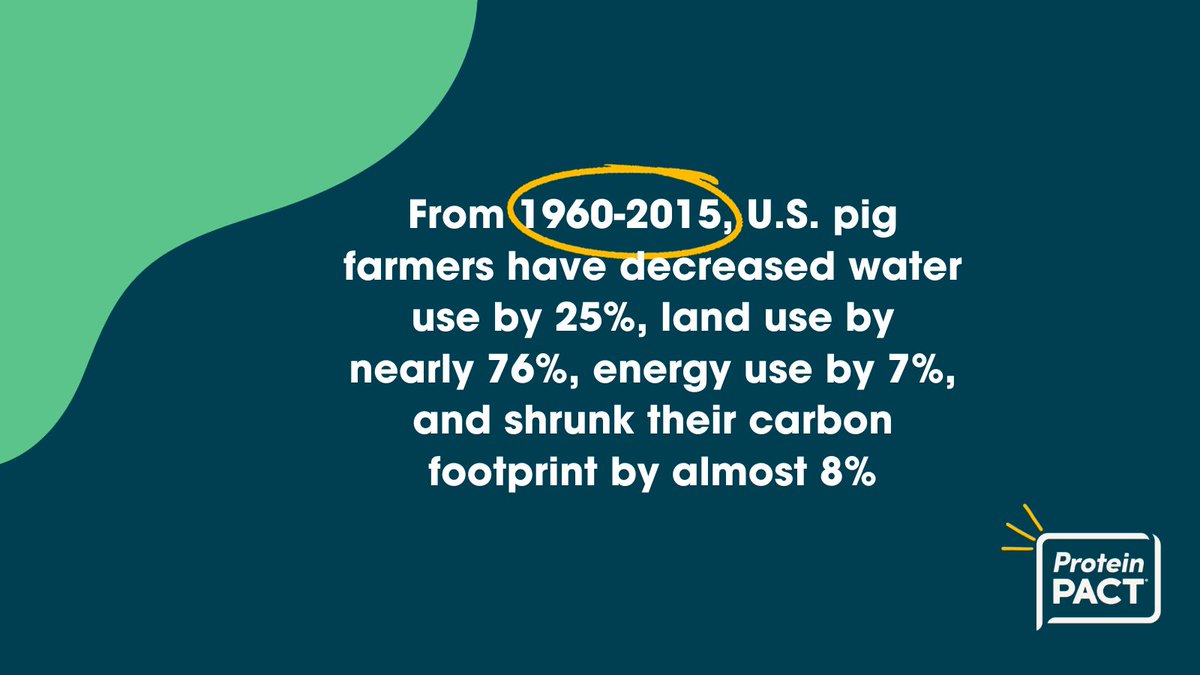U.S. pig farmers have made major sustainability strides, decreasing water use by 25%, land use by nearly 76%, energy use by 7%, and shrinking their carbon footprint by almost 8%. #EatPork #SustainableMeat

buff.ly/3il7FbT