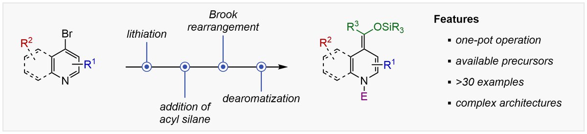 Nairoukh Group (@nairoukhgroup) on Twitter photo 🔬 Did you know the Brook rearrangement can dearomatize N-heterocycles? 🧪
Check out our recent study, now available in <a href="/ChemEurJ/">ChemEurJ: Chemistry - A European Journal</a>. 📚👩🔬🧑🔬 Congratulations to Raj <a href="/rajarshichem/">Rajarshi Mondal</a>, Mohamed <a href="/MohamedAgbaria1/">Mohamed Agbaria</a>, and Orit! #BrookRearrangement #Dearomatization
doi.org/10.1002/chem.2… 🔬 Did you know the Brook rearrangement can dearomatize N-heterocycles? 🧪
Check out our recent study, now available in <a href="/ChemEurJ/">ChemEurJ: Chemistry - A European Journal</a>. 📚👩🔬🧑🔬 Congratulations to Raj <a href="/rajarshichem/">Rajarshi Mondal</a>, Mohamed <a href="/MohamedAgbaria1/">Mohamed Agbaria</a>, and Orit! #BrookRearrangement #Dearomatization
doi.org/10.1002/chem.2…