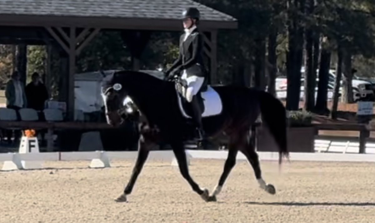 Cat Cozzi tweet media