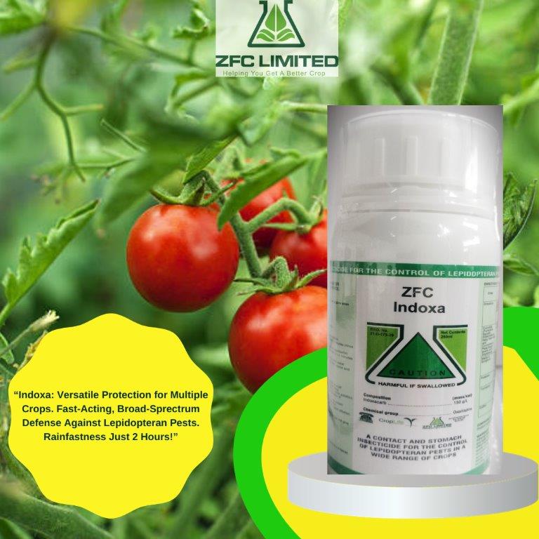 "Indoxa: Your Ultimate Defense Against Pests. Say Goodbye to Diamondback Moths, Bollworms, Stalkborers, Armyworms, Potato Leaf Miners, Tuta, and Semiloopers. Protecting Your Diverse Crops with Unparalleled Efficiency."