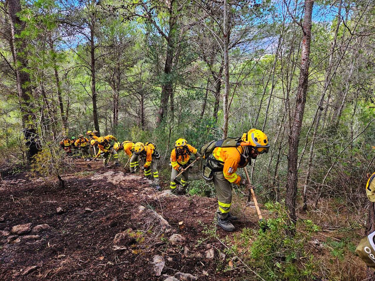 defensaforeMUR's tweet photo. #IFMontitxelvo
[RESUMEN INTERVENCIÓN]
➡️ACTUACIÓN
Construcción línea a dos pies + perimetrado y remate puntos calientes/ 1.221,60m 
➡️ MEDIOS 35p/día:
4 #BRIFOR (24 BBFF)
4 #AAMM_MURCIA 
1 TEX
3 Técnicos (Oficial Enlace, OFISEG, Analista)
1 APOYO LOGISTICO
2 Capataces (CAPCOOR) https://t.co/wYQWF3NyZy