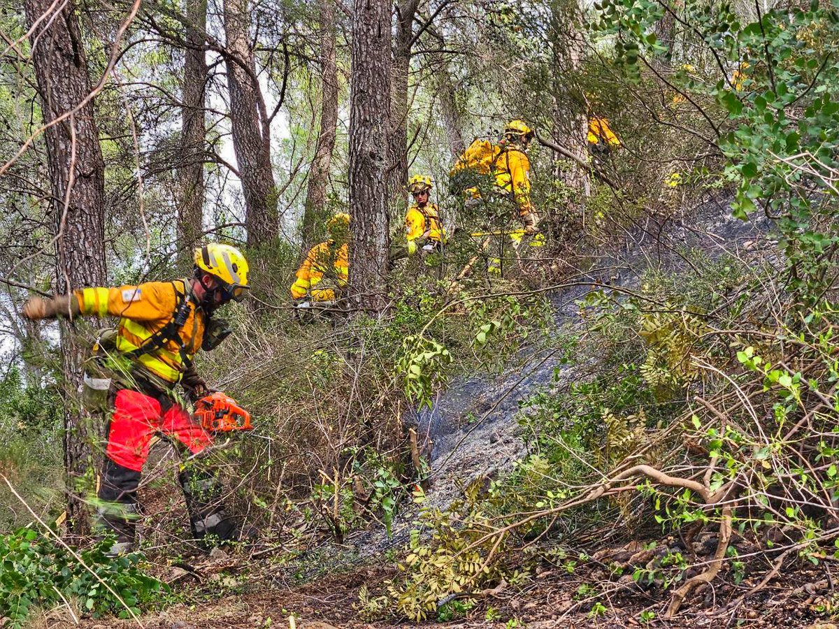 defensaforeMUR's tweet photo. #IFMontitxelvo
[RESUMEN INTERVENCIÓN]
➡️ACTUACIÓN
Construcción línea a dos pies + perimetrado y remate puntos calientes/ 1.221,60m 
➡️ MEDIOS 35p/día:
4 #BRIFOR (24 BBFF)
4 #AAMM_MURCIA 
1 TEX
3 Técnicos (Oficial Enlace, OFISEG, Analista)
1 APOYO LOGISTICO
2 Capataces (CAPCOOR) https://t.co/wYQWF3NyZy