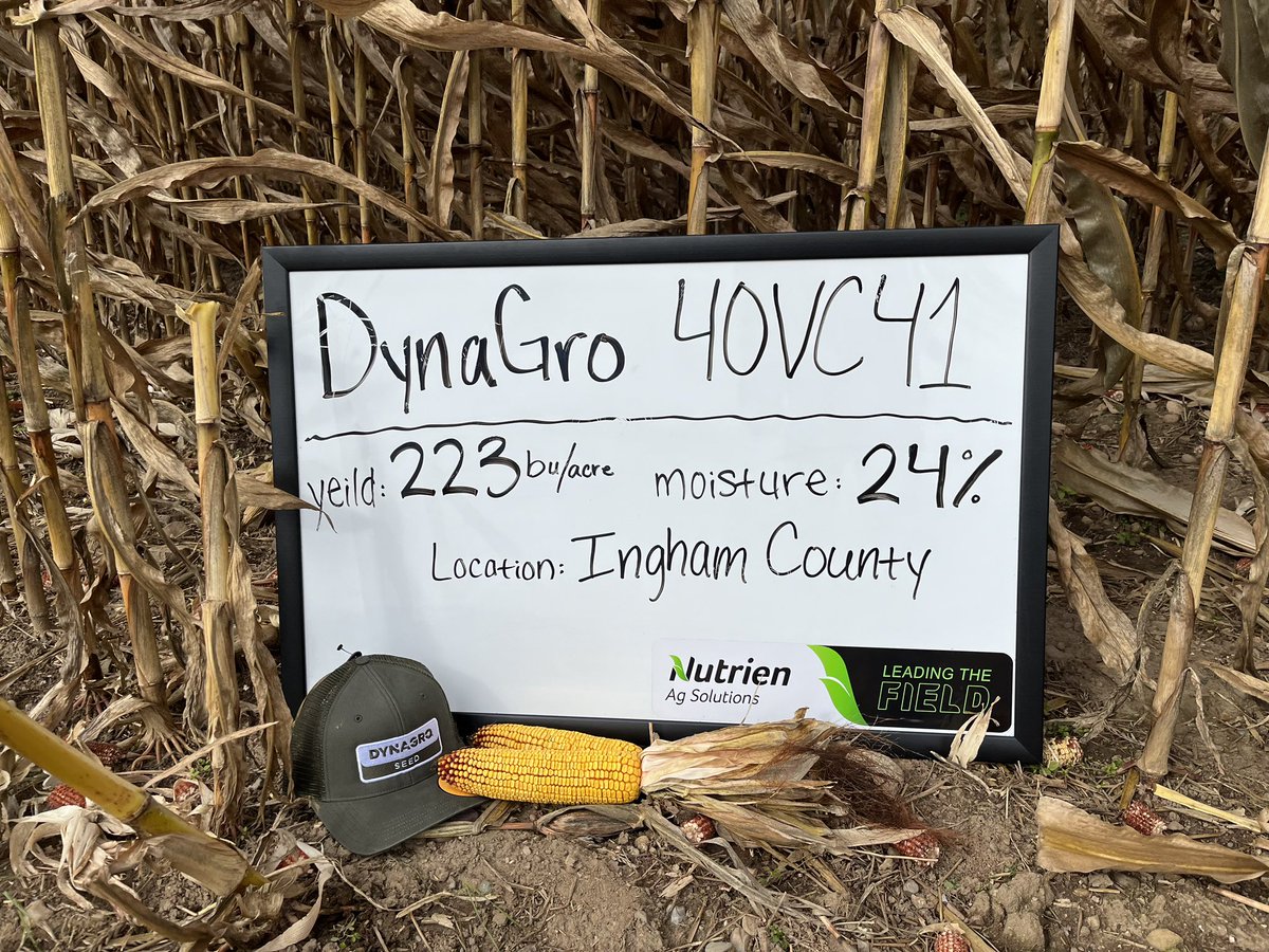 @DynaGroSeed D40VC41 is Leading the Field all across Michigan!