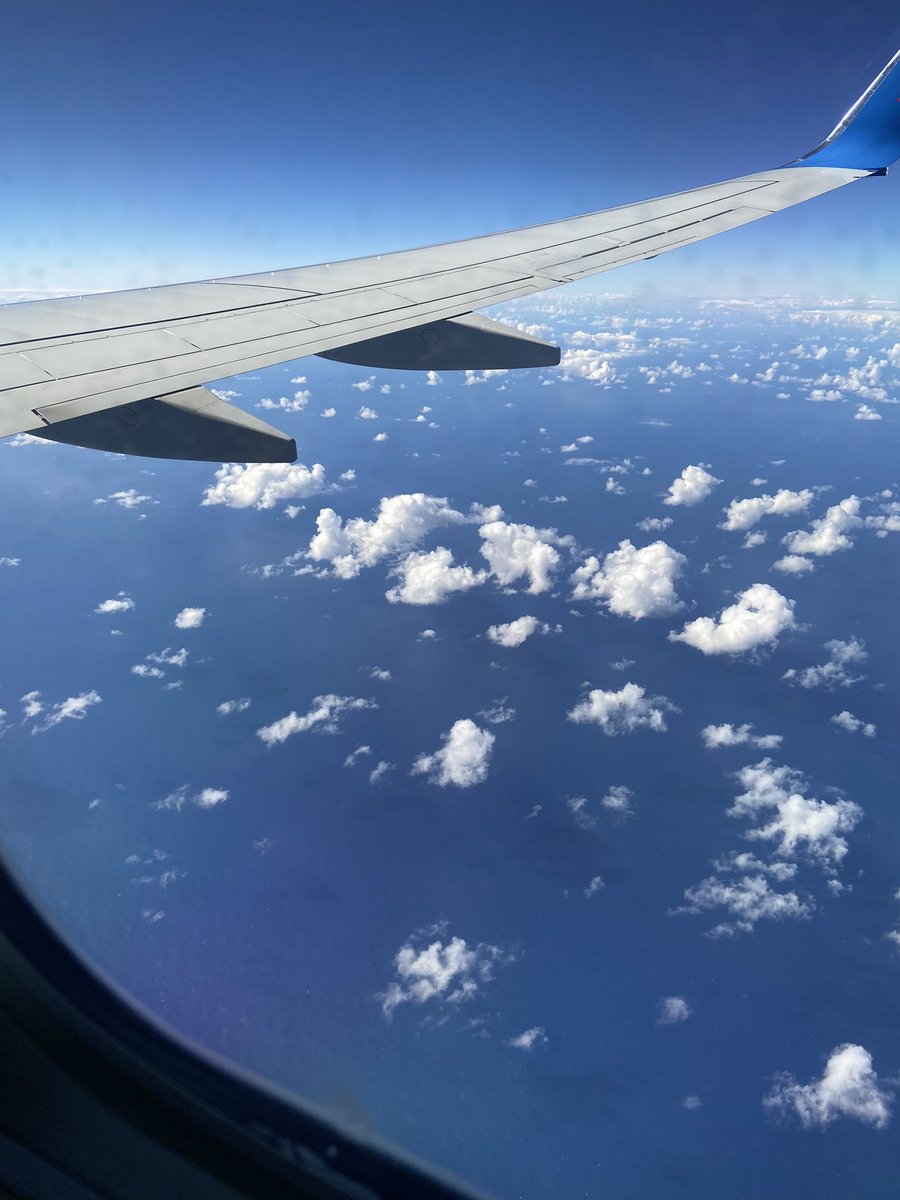 Ian Rankin tweet media