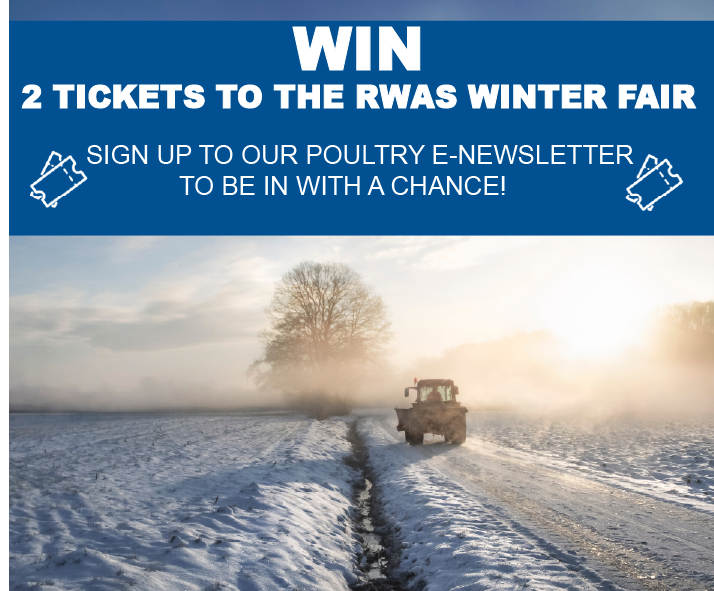 ⭐GIVEAWAY ⭐

Sign-up to our Poultry E-newsletter for a chance to WIN 2x tickets to the RWAS Winter fair.

Hurry, entries close at 9pm, November 19th! ⏰

Sign-up here: bit.ly/3QGa8ym

Good luck! 🎉

#rwaswinterfair #poultrynews #wynnstaypoultry #giveaway #win
