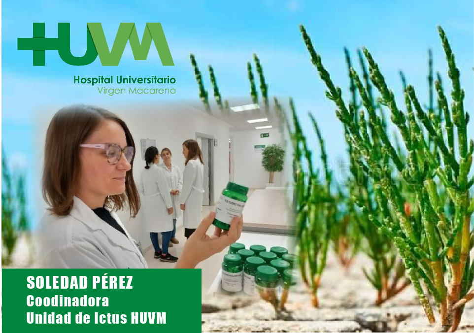 Neurologia HUVM (@neurologiahuvm) on Twitter photo La Dra Soledad Pérez, Coordinadora de la Unidad de Ictus del <a href="/huvmacarena/">Hospital Virgen Macarena</a>, ha realizado una entrevista para Canal Sur Media en "Días de Andalucía", nos informa sobre los beneficios de la Salicornia🌱
👏 Os invitamos a escuchar la entrevista completa:
canalsur.es/noticias/el-co… La Dra Soledad Pérez, Coordinadora de la Unidad de Ictus del <a href="/huvmacarena/">Hospital Virgen Macarena</a>, ha realizado una entrevista para Canal Sur Media en "Días de Andalucía", nos informa sobre los beneficios de la Salicornia🌱
👏 Os invitamos a escuchar la entrevista completa:
canalsur.es/noticias/el-co…