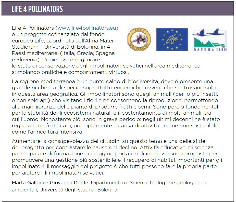 4Pollinators's tweet photo. 𝗟𝗶𝗳𝗲 𝟰 𝗣𝗼𝗹𝗹𝗶𝗻𝗮𝘁𝗼𝗿𝘀 𝗲 𝗖𝗶𝘁𝗶𝘇𝗲𝗻 𝗦𝗰𝗶𝗲𝗻𝗰𝗲 𝘀𝘂 𝗘𝗰𝗼𝘀𝗰𝗶𝗲𝗻𝘇𝗮!  🐝🦋🌺🌼👫👨‍👧‍👧🏃 Un articolo sul nuovo numero di Ecoscienza: l'importanza del contributo del cittadino nella raccolta di dati. La rivista di Arpae dedicata a sostenibilità e ambiente. https://t.co/C7GiZOLsTJ