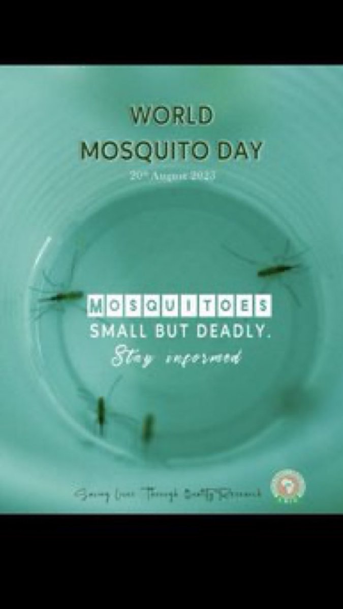 🏢ゲイツさんは蚊を散布したそうです
世界蚊の日って🦟アホやろホンマ
🏢ゲイツさんと手ドロスさんは
マラリア💉💉でボロ儲けしたの
忘れられないんだな
騙されるな日本人