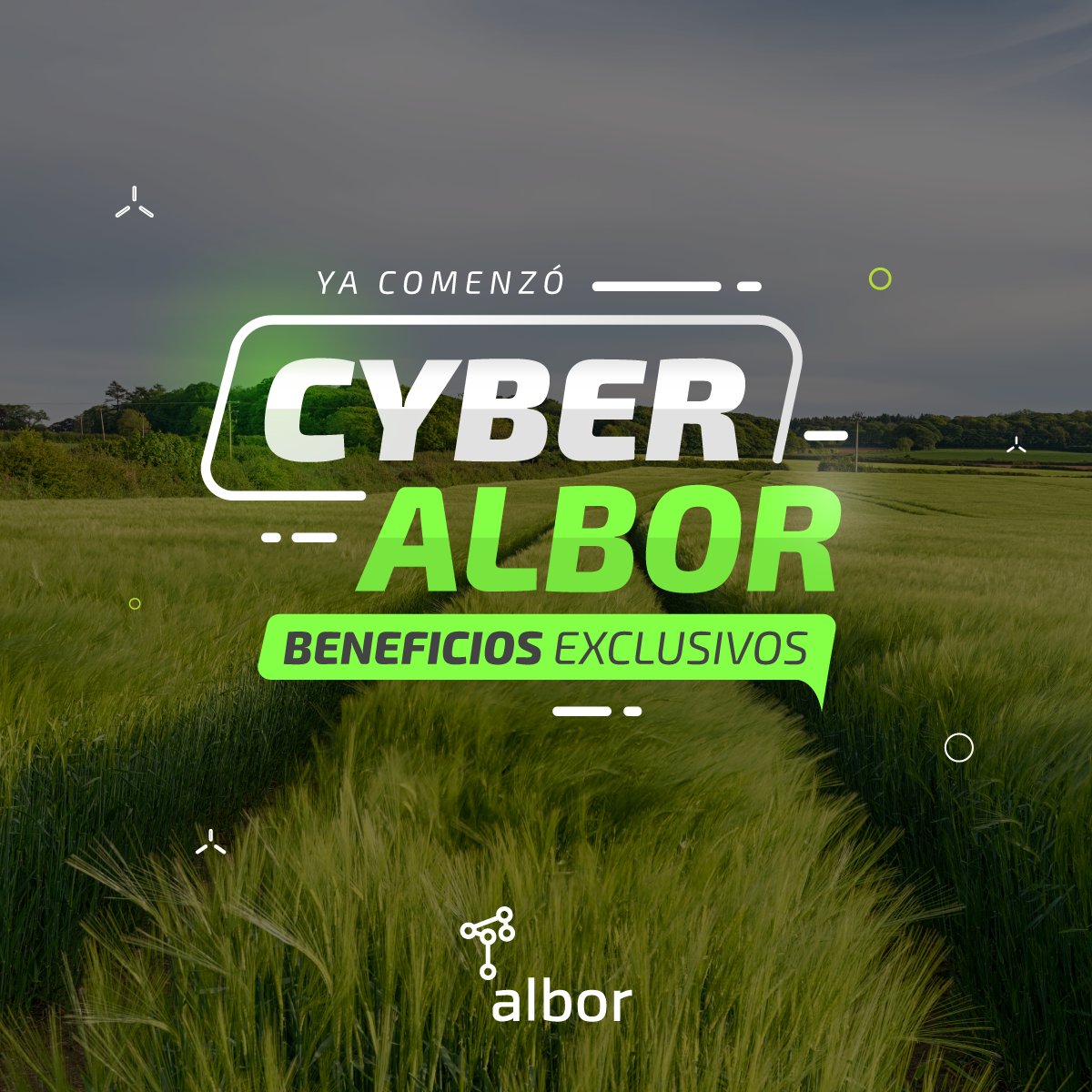 Albor_agro's tweet photo. 🔥¡COMENZÓ #CYBERALBOR!🔥
Invertir en gestión es la mejor manera de potenciar tus esfuerzos.
Si aún no sos usuario, contratá #AlborCampo con 𝗱𝗲𝘀𝗰𝘂𝗲𝗻𝘁𝗼𝘀 𝗱𝗲 𝗵𝗮𝘀𝘁𝗮 𝘂𝗻 𝟱𝟬% en la implementación e-learning. ¡Contactanos!
comercial@alboragro.com
+54 9 223 672-9805 https://t.co/GBpb0qpCXZ