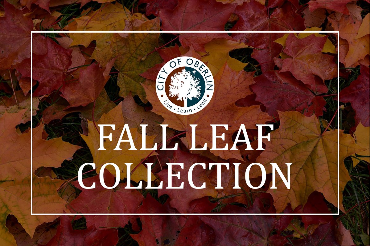 🍂2023 Fall Leaf Collection Has Begun!🍂

Curbside Leaf Collection will continue until the majority of leaves are picked up or until there's substantial snowfall.

🔸Rake leaves to the curb lawn ONLY - NOT into the street🔸

Questions? Call Public Works ➡️ 440-775-7218