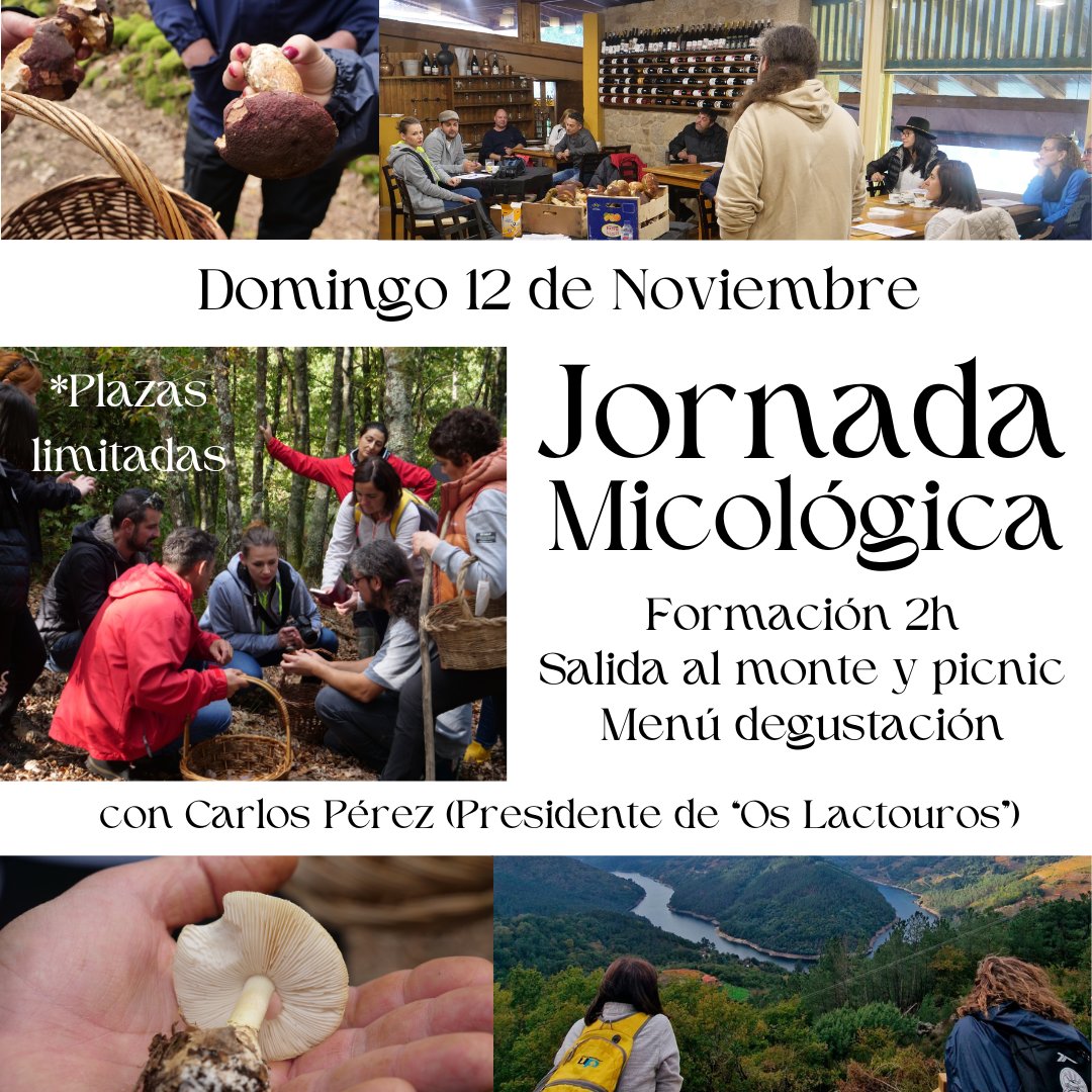 Restaurante Playa Da Cova tweet media