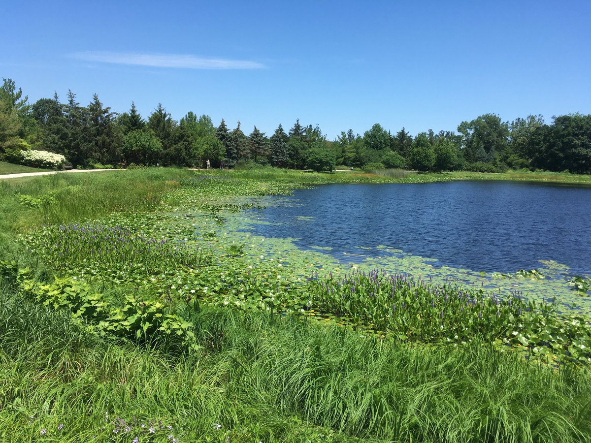 Sean Hoban tweet media