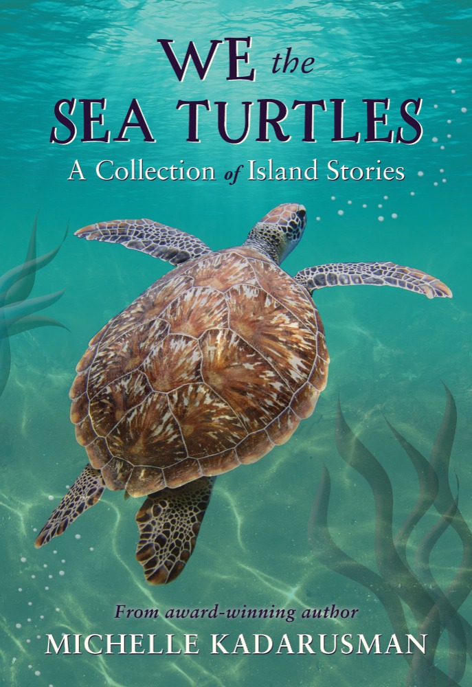 MichelleRReader's tweet image. Beyond thrilled that &apos;We the Sea Turtles&apos; has a free #TeachingGuide created by the brilliant author and teacher Colleen Nelson 
(@ColleenNelson14)  😊 🐢🌏🌿  
#BookClubs #EcoFriendly #OneBookOneSchool #Nature #Diversity
Find it here: pajamapress.ca/resource/we_th…