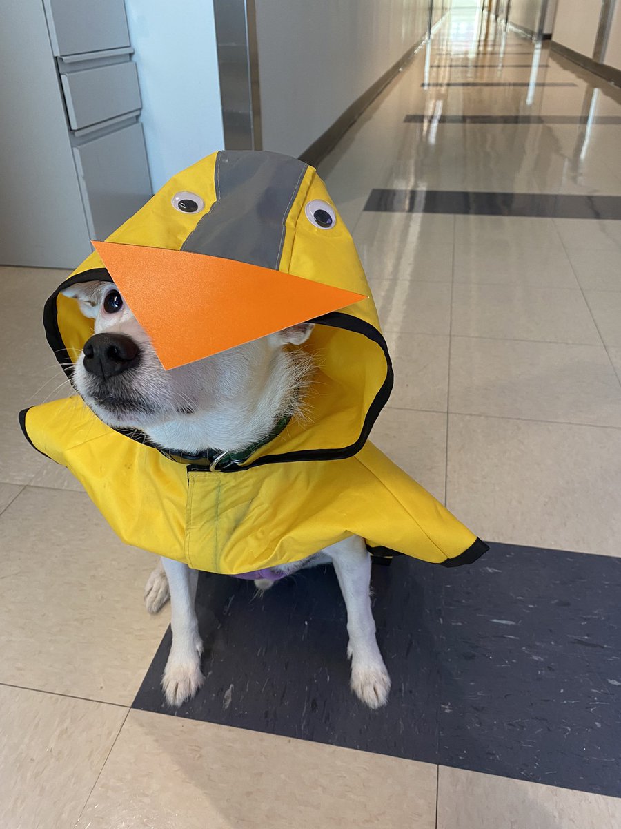 Anna Berenson, Ph.D. tweet media