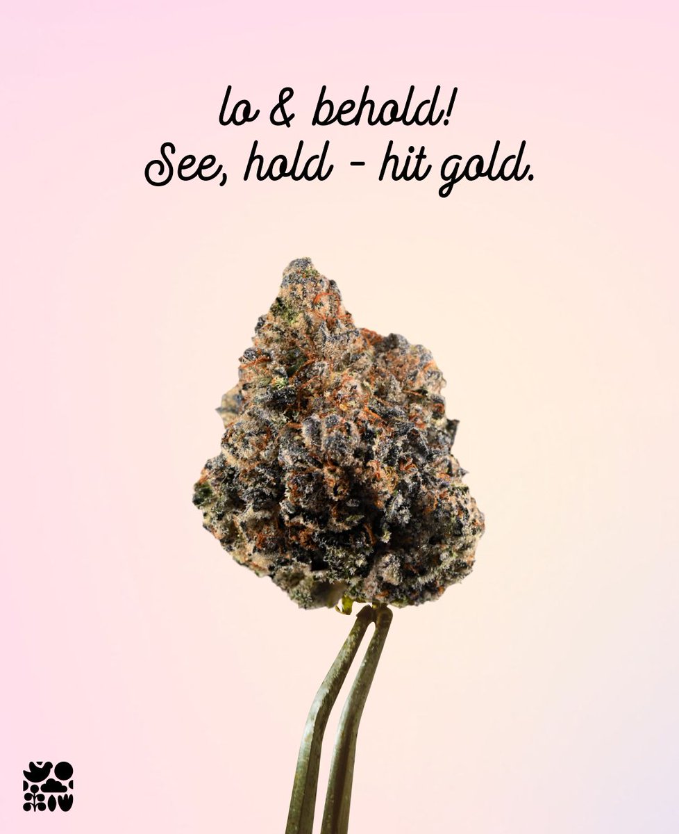 thespringtimeco's tweet image. The Gold Hush, which reduces rush, the haste of the modern world.
.
.
.
#springtime #springtimebliss #october2023 #Massachusetts #michigan