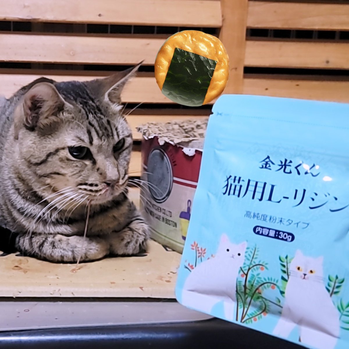 animal_nekozu's tweet image. 遅れましたが、ミュウさんからのご支援が届きました❗✨

猫風邪の時から調子が悪い、ねこーず7匹の免疫力向上のためにあげています。

いつもご支援していただき、ありがとうございますヽ(*´∀｀*)ﾉ

#支援物資 #個人保護猫活動 #Lリジン #猫ちゃんの体力上げ研究中