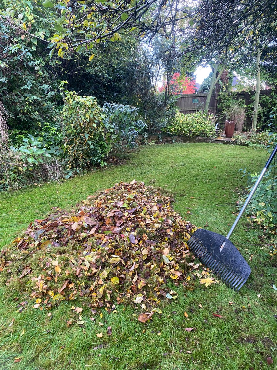 sdk241068's tweet image. Different kind of exercise today but now wind so enjoying my carpet brushing #notcodeforanything 🤣