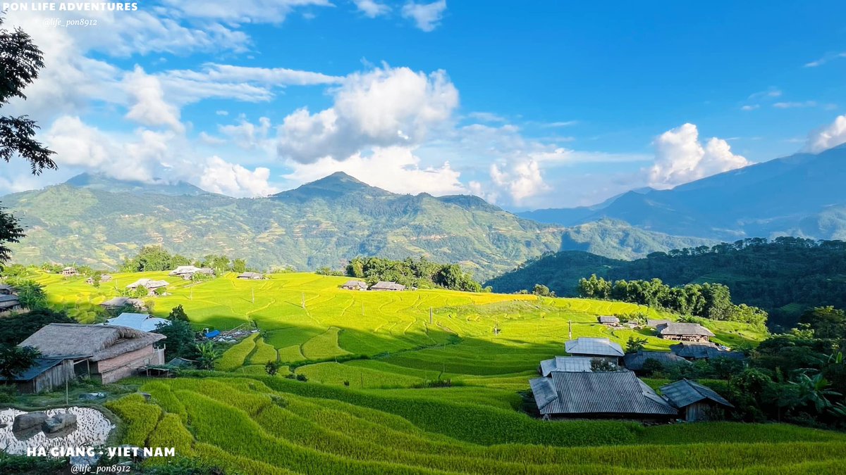 life_pon8912's tweet image. Episode 1 HaGiang
Hoang Su Phi - the perfect piece of Ha Giang.  With the cool climate, and watching the terraced fields come to harvest, surely all of us will feel nostalgic for Ha Giang.
#HaGiang #VietNamtravel #HaGiangLoop