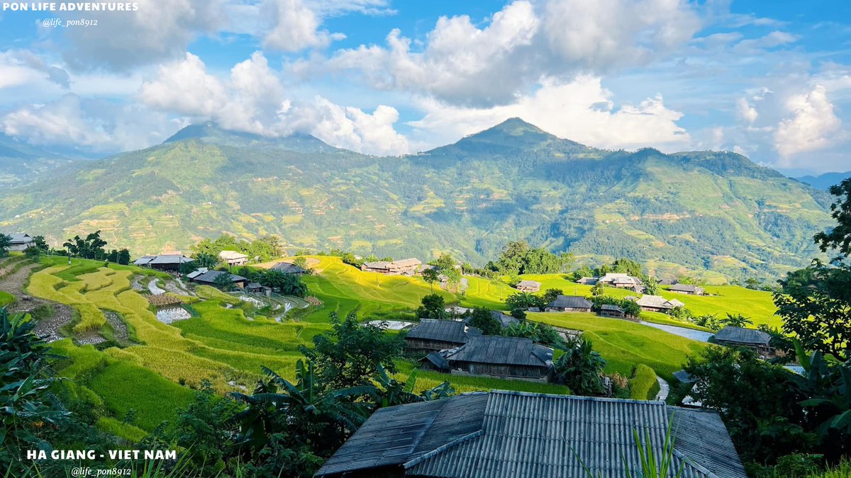 life_pon8912's tweet image. Episode 1 HaGiang
Hoang Su Phi - the perfect piece of Ha Giang.  With the cool climate, and watching the terraced fields come to harvest, surely all of us will feel nostalgic for Ha Giang.
#HaGiang #VietNamtravel #HaGiangLoop