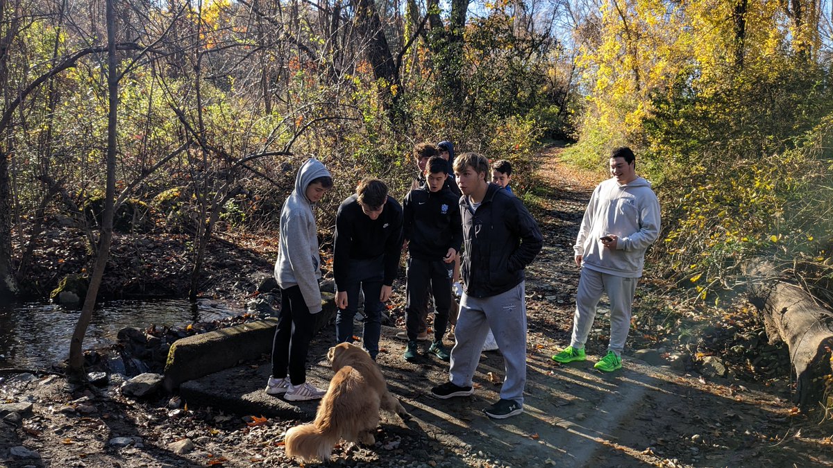 DshsEnglish's tweet image. Last week Am Lit students went on a nature walk on the DS campus to kick off their study of Transcendentalism.  They will then study the poetry of contemporary poet Mary Oliver.  @DSteachlearn #relevance