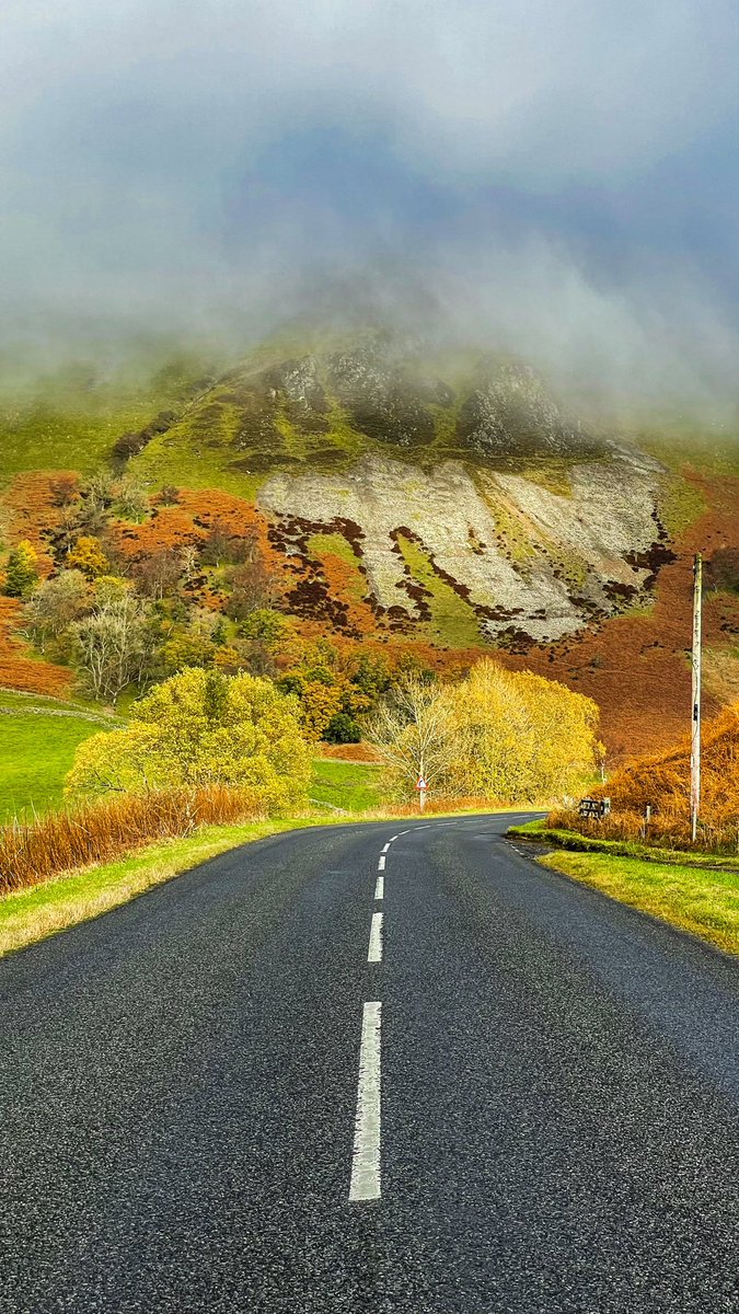 Adella@Wilsonphotography tweet media