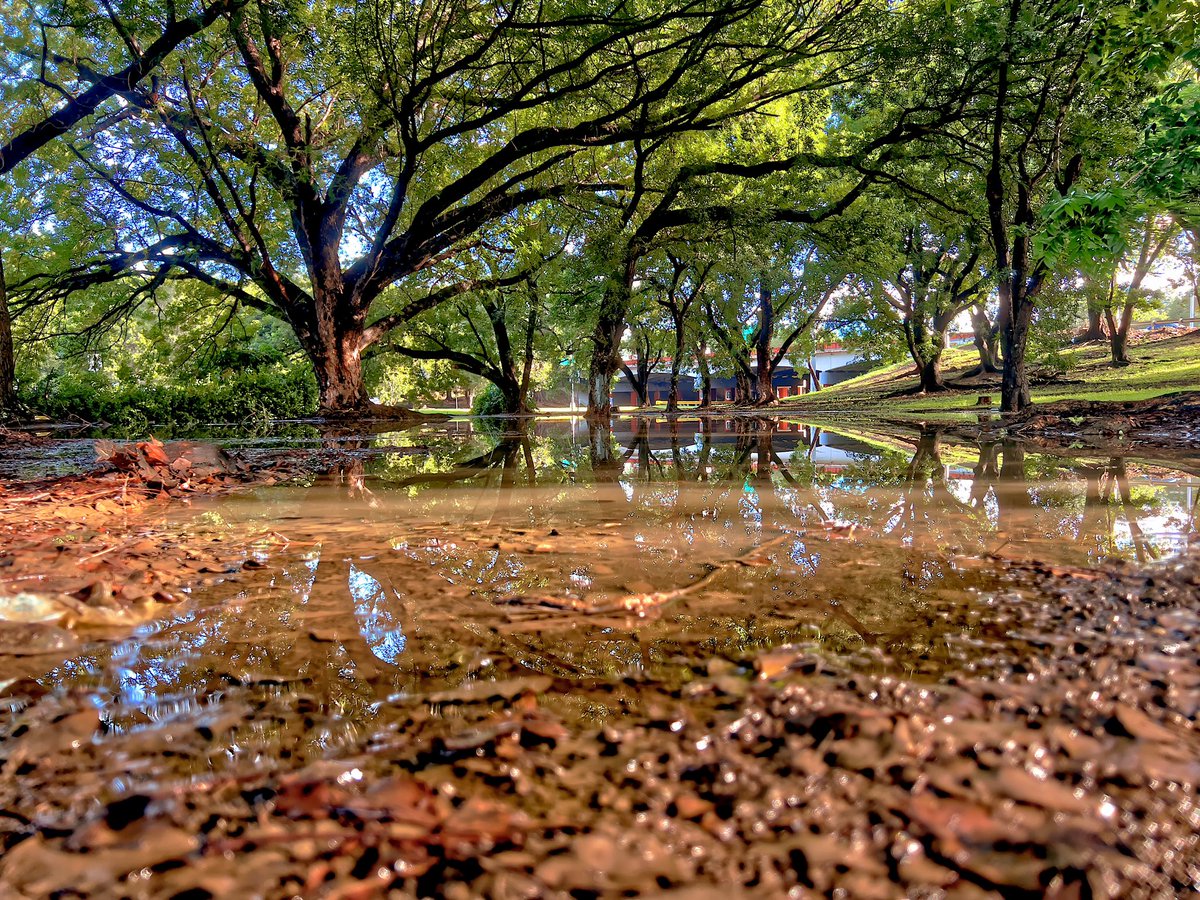 ObjoMedia's tweet photo. Los Pantanos de la Roosevelt, ¿un oasis imaginario en medio del desierto de la realidad?
#PhotographyLover #CaptureTheMoment #PhotographyJourney #PhotoAdventure #BehindTheLens #PhotosTellStories #VisualArtistry #objomedia #SanJuan #puertorico #photooftheday #instagram #instagood https://t.co/v7PUNjeO7a