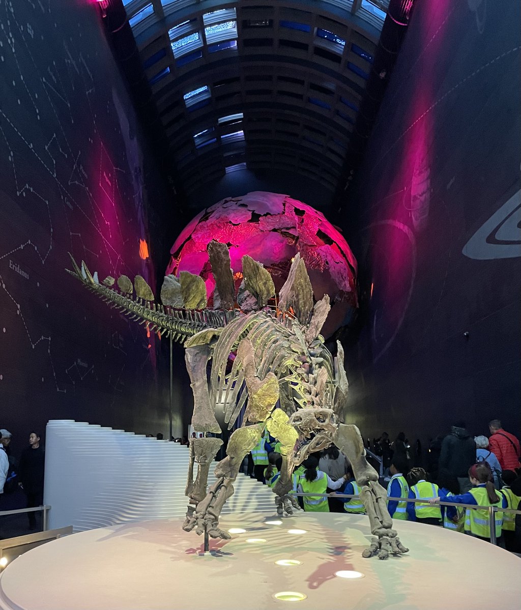 Mostly out of Africa conference, happening right now at the <a href="/NHM_London/">Natural History Museum</a> in honour of <a href="/ChrisStringer65/">Chris Stringer</a>  who's work pioneered the 'Out of Africa' theory.