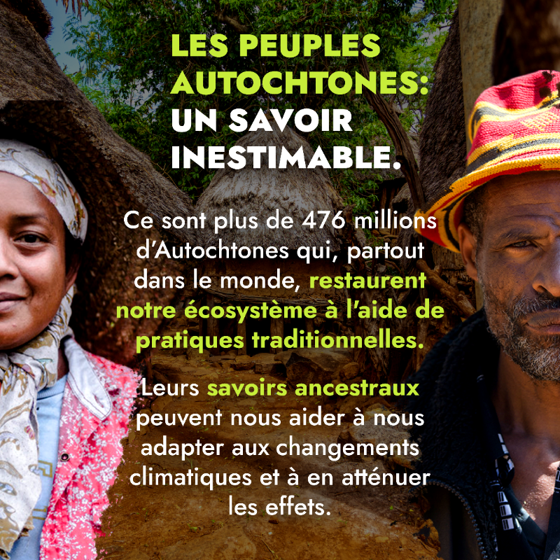 leFIDA's tweet photo. Partout dans le monde, les populations rurales produisent des aliments tout en préservant notre planète 🌍 

Découvrez celles et ceux qui se battent au quotidien pour l'agriculture 👇