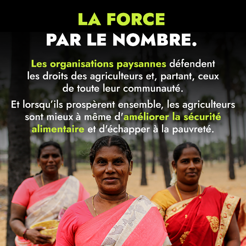 leFIDA's tweet photo. Partout dans le monde, les populations rurales produisent des aliments tout en préservant notre planète 🌍 

Découvrez celles et ceux qui se battent au quotidien pour l'agriculture 👇