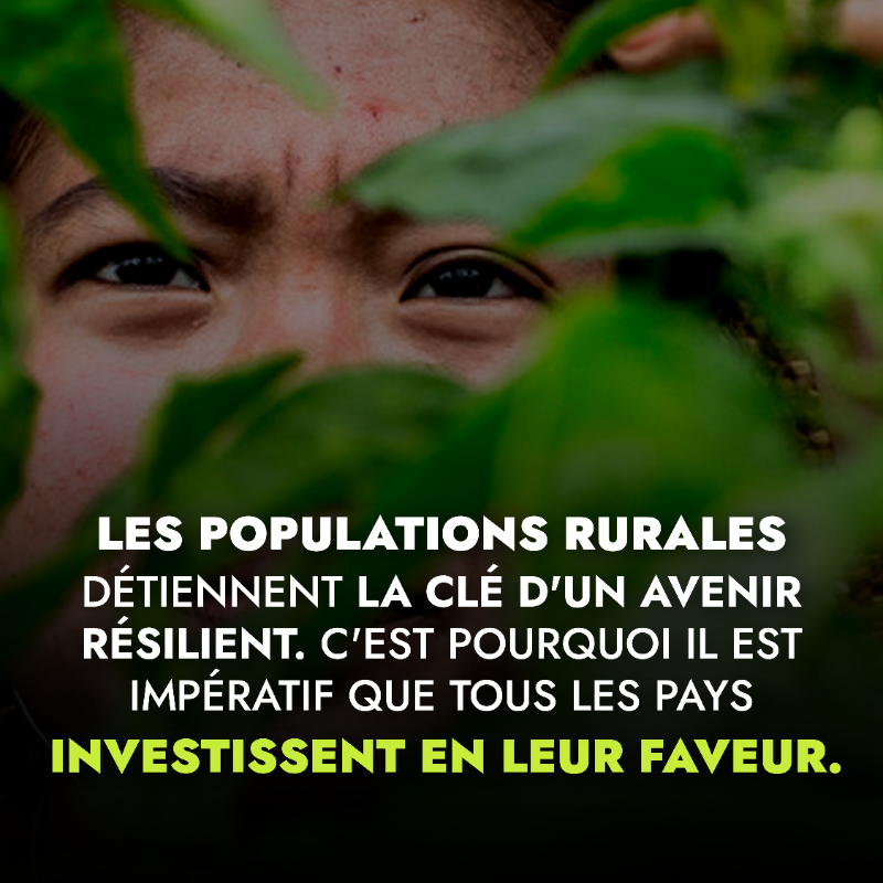 leFIDA's tweet photo. Partout dans le monde, les populations rurales produisent des aliments tout en préservant notre planète 🌍 

Découvrez celles et ceux qui se battent au quotidien pour l'agriculture 👇