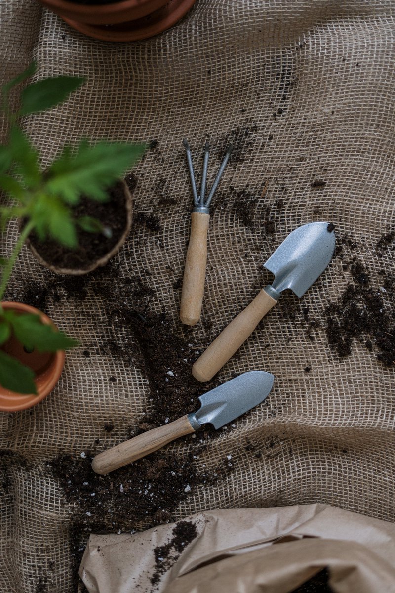 Looking to get outside on your lunch break tomorrow?

Help us plant some spring bulbs at Portwall Gardens🌿​

We’ll be meeting at 12pm to plant tulips, daffodils and crocuses ready for next spring🌷​

Find out more and sign up for free here shorturl.at/mnEHU

#lovebristol