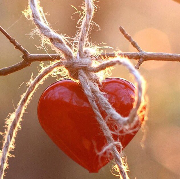 kayal_974's tweet photo. " أنت نصف روحي ونبض قلبي وكفى"

               مسااء الورد 🌹🍃 https://t.co/ObgKe9OeO4