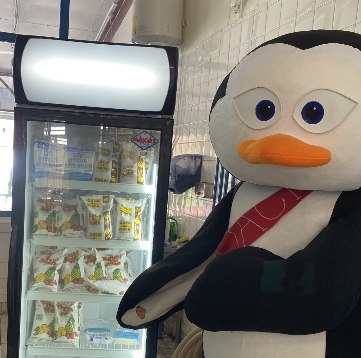 A_Rocketeer's tweet photo. ¿Fiu? Fiu no trae cola de mono https://t.co/9NbGawPcrn