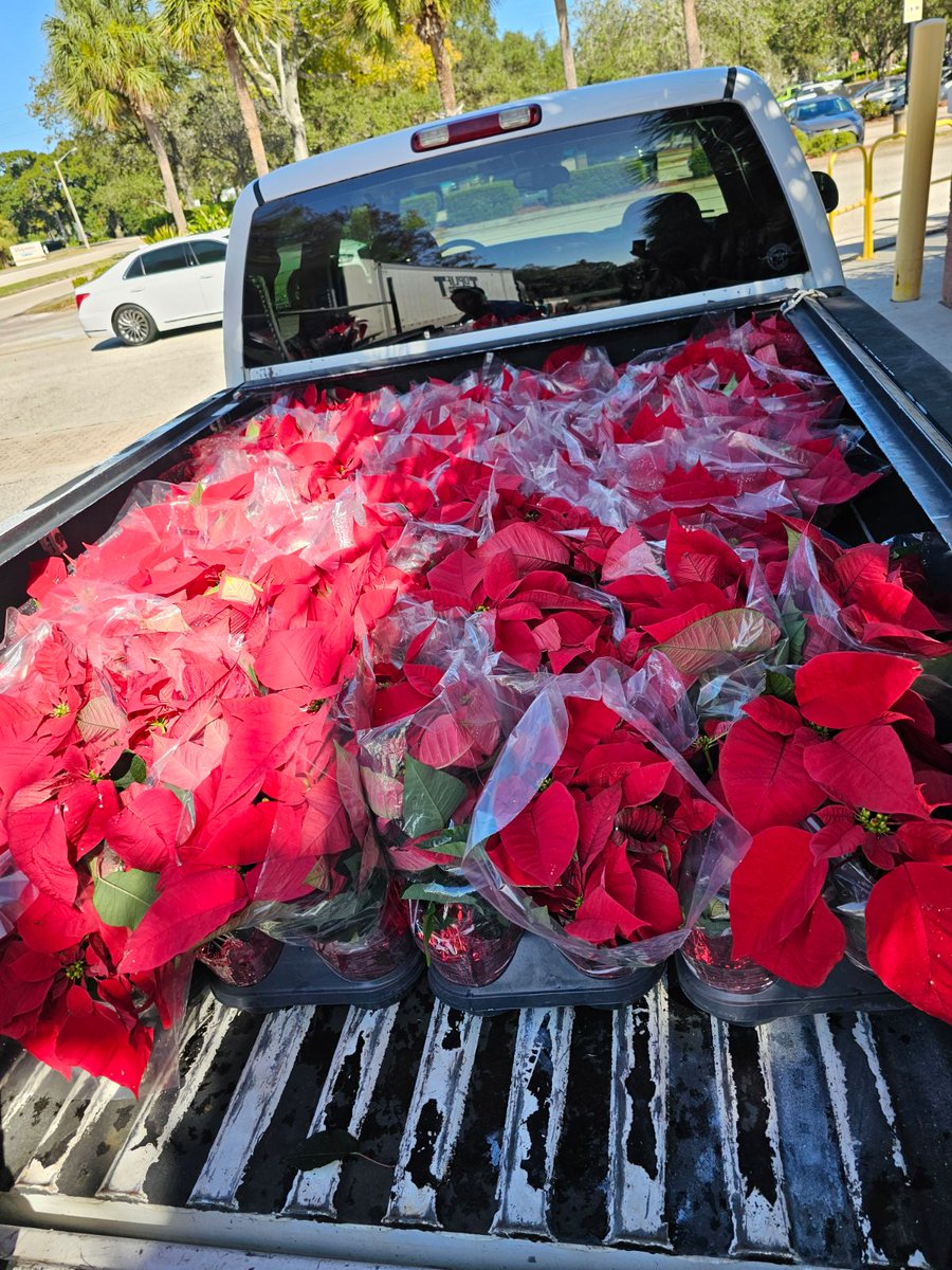 Gary Murphy tweet media