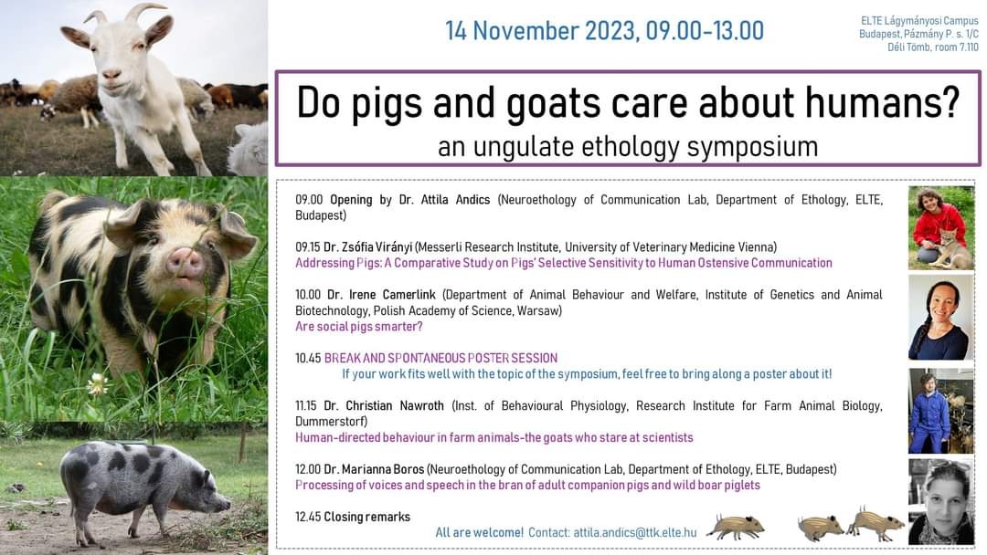 Paula Pérez Fraga (@paula_pefraga) on Twitter photo We are organizing a little ungulate ethology symposium on 14 November 2023, Tuesday 9.00-13.00 at ELTE Department of Ethology (room 7.110). 
There will be four invited talks, by Zsófia Virányi, Irene Camerlink, Christian Nawroth and Marianna Boros.
<a href="/GoatsThatStare/">Christian Nawroth</a>
<a href="/FamDogProject/">Family Dog Project</a> We are organizing a little ungulate ethology symposium on 14 November 2023, Tuesday 9.00-13.00 at ELTE Department of Ethology (room 7.110). 
There will be four invited talks, by Zsófia Virányi, Irene Camerlink, Christian Nawroth and Marianna Boros.
<a href="/GoatsThatStare/">Christian Nawroth</a>
<a href="/FamDogProject/">Family Dog Project</a>