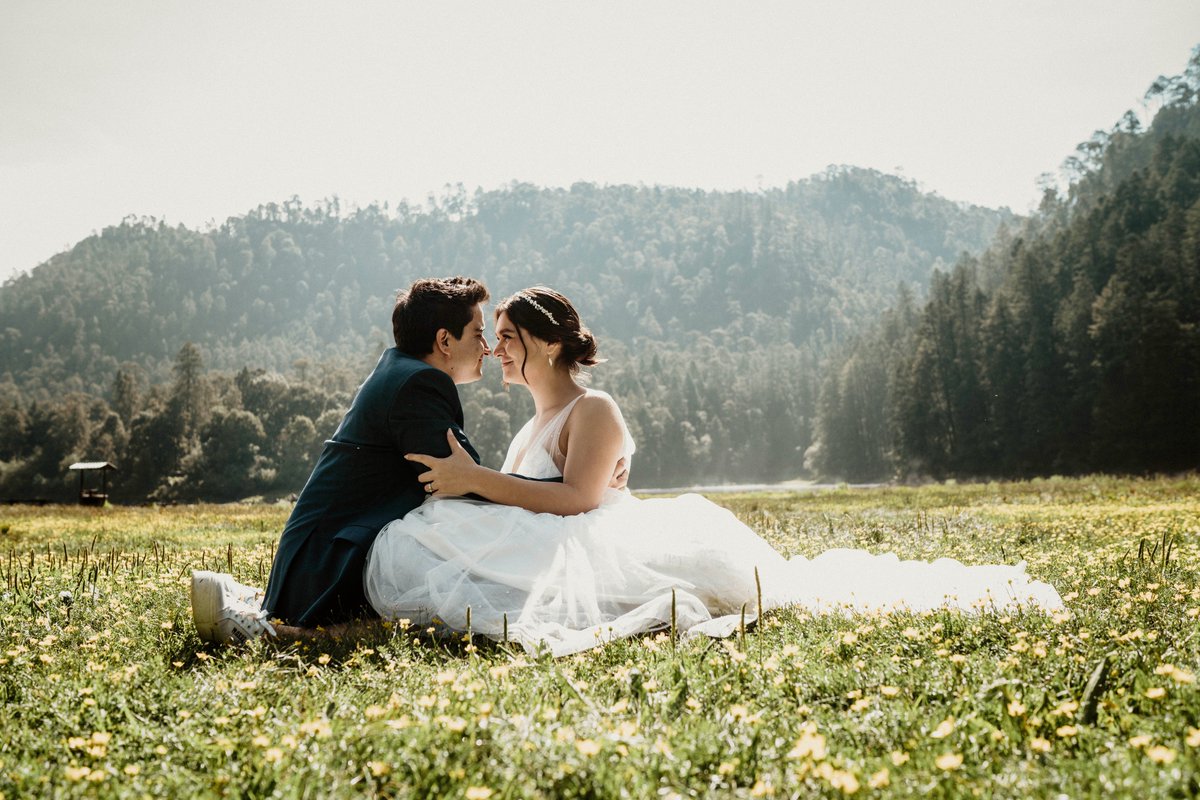Bodas.com.mx tweet media