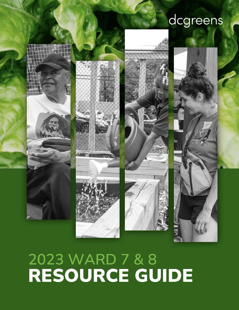 DC Greens is proud to introduce our 2023 Ward 7 &amp; 8 Resource Guide! Created in partnership w/ 40+ organizations, the Guide features key information about vital services currently available to the D.C. community. Download a copy: bit.ly/2023-dc-guide #DCGreens #Ward7 #Ward8