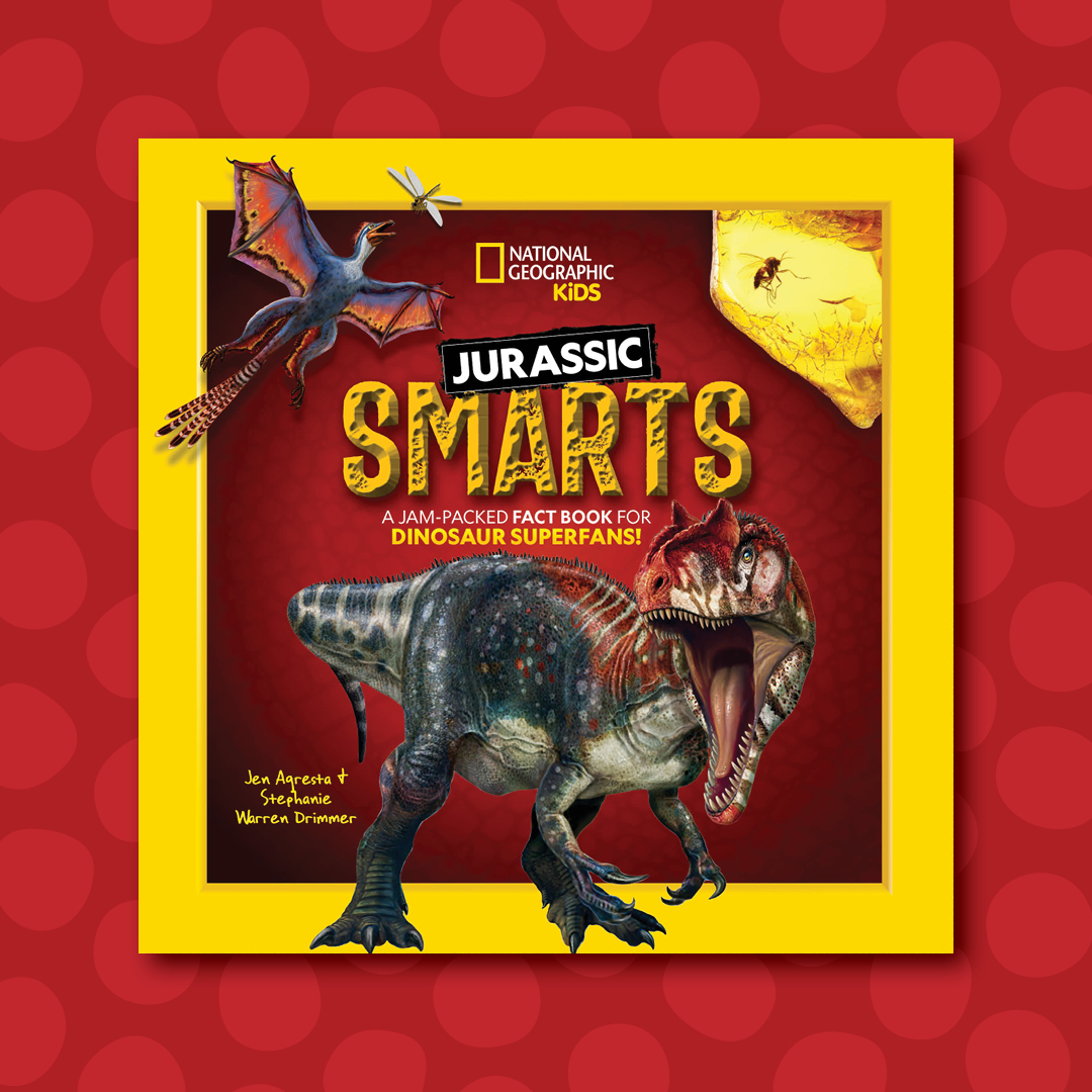 Did you know that the Mesozoic era is split into three periods: the Triassic, the Jurassic, and the Cretaceous? Don't let the name of this book fool you! Dino-crazy kids will dig up fun facts, quizzes, and more from all three in this T-rex-errific tome: amz.run/7CvI