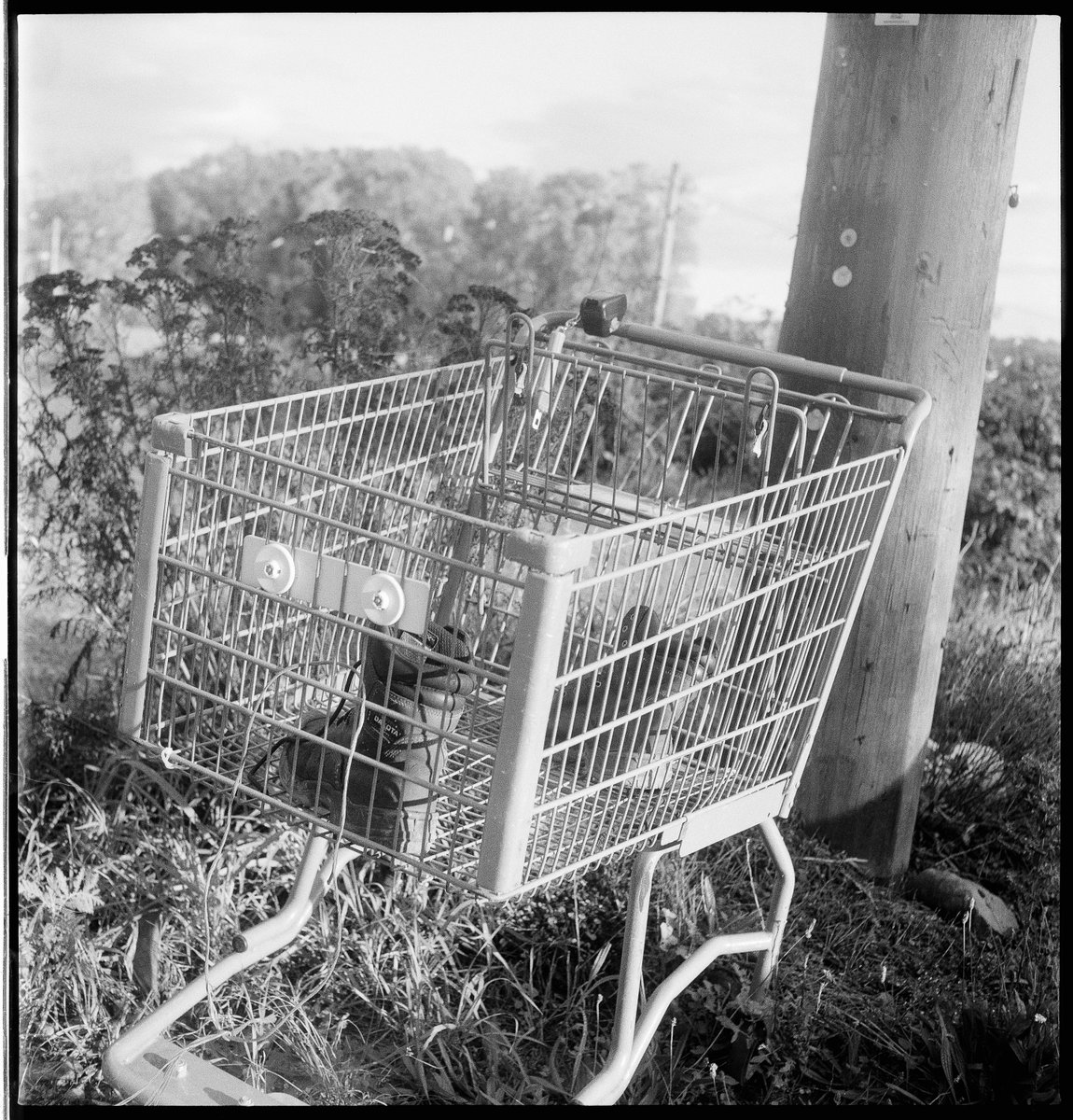 krishooperphoto's tweet photo. Found by the river

#Rolleiflex #IlfordHP5 #BlackAndWhitePhotography #FilmPhotography #BelieveInFilm #Vancouver #VanSPC #HomeDeveloping #MediumFormat https://t.co/3v2ZhDw5pt