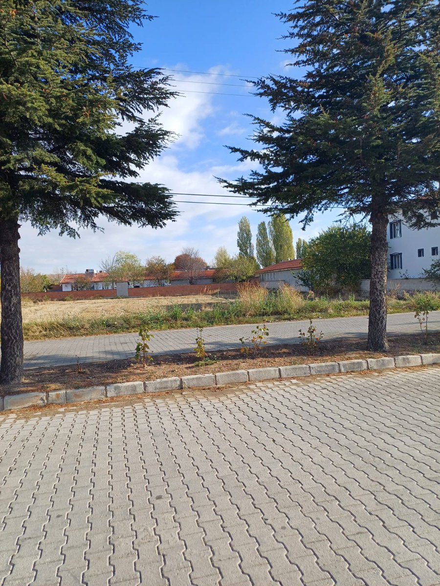 mehmetkeklik94's tweet photo. https://t.co/oWY9H1Dt9s