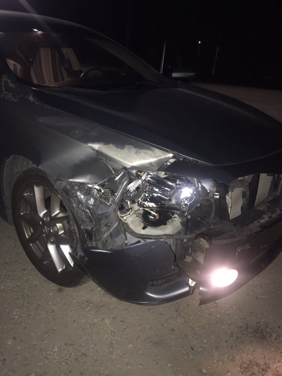 _Carllzz's tweet photo. Yeehaw 😒 #OhDeer https://t.co/IXBGKccwUp