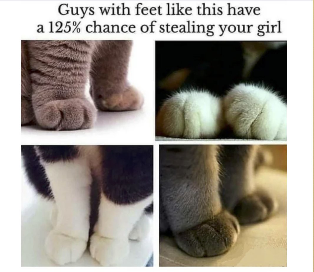 RespectfulMemes's tweet photo. https://t.co/Ve9UzTT2pp